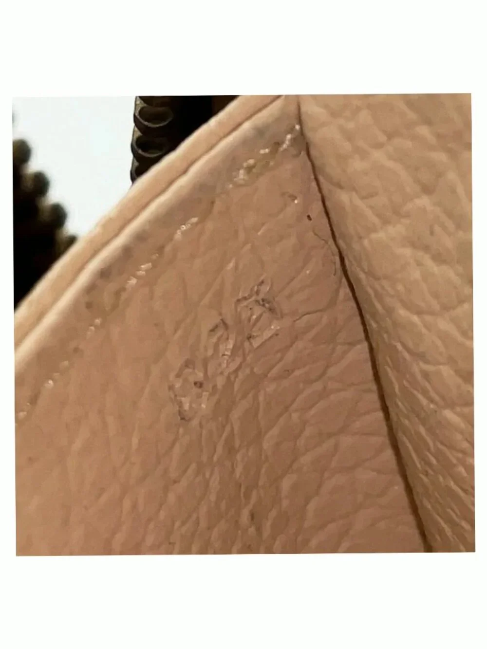 Louis Vuitton authentic louis